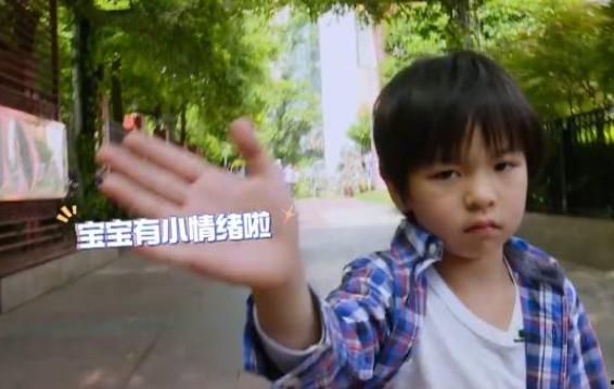 张婷儿子爆料视频,揭秘家庭背后惊人真相 第3张 张婷儿子爆料视频,揭秘家庭背后惊人真相 第3张