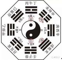 何老师爆料八卦图视频,八卦图视频背后的惊人真相 第1张 何老师爆料八卦图视频,八卦图视频背后的惊人真相 第1张