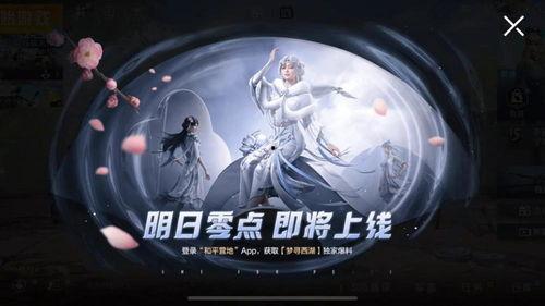 悲喜吃鸡新皮肤爆料最新,带你领略游戏时尚新潮流  第3张