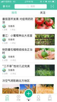 今日头条大蒜农爆料,丰收却难卖，蒜农心声引关注  第3张